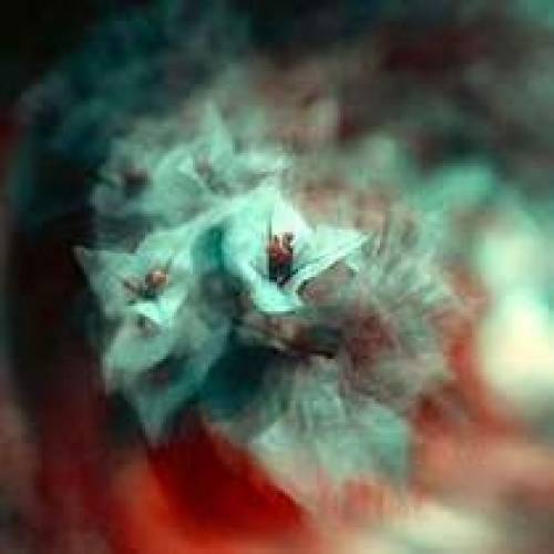 'Audiio - Not Quite The Same (Instrumental) - Loom'