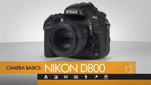 'KelbyOne - Nikon D800 Camera Basics'