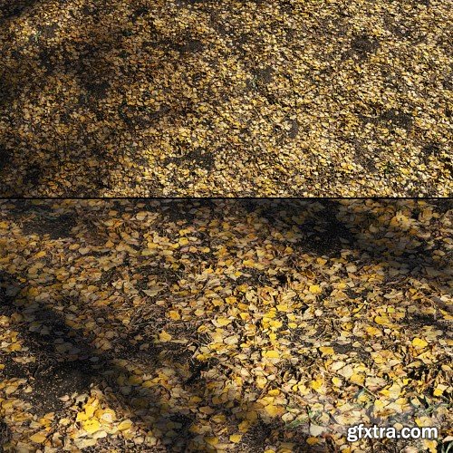 3dsky Pro - Foliage Autumn