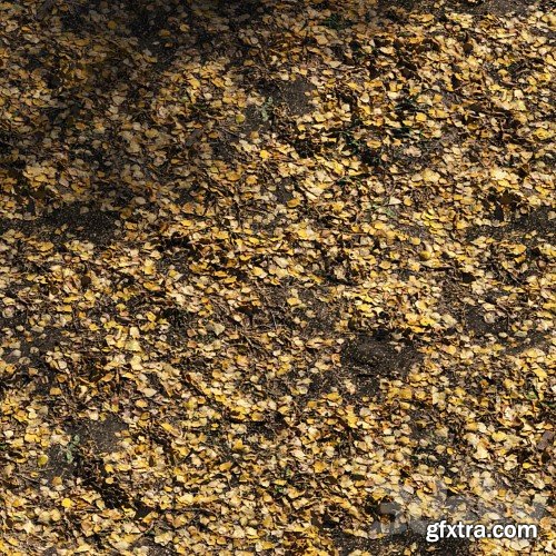 3dsky Pro - Foliage Autumn