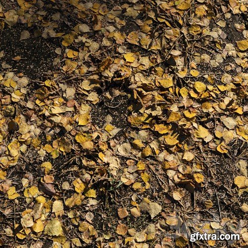 3dsky Pro - Foliage Autumn