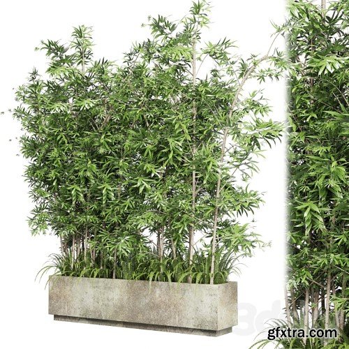 3dsky Pro - Collection Outdoor plant 49 concrete dirt old vase bax pot tree fern bamboo