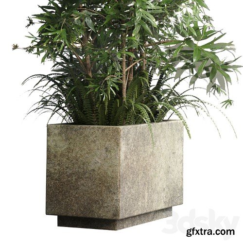 3dsky Pro - Collection Outdoor plant 49 concrete dirt old vase bax pot tree fern bamboo