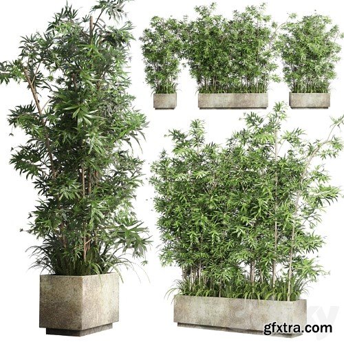 3dsky Pro - Collection Outdoor plant 49 concrete dirt old vase bax pot tree fern bamboo