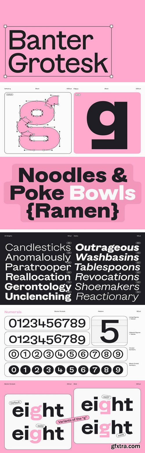 Myfonts - Banter Grotesk Font Family
