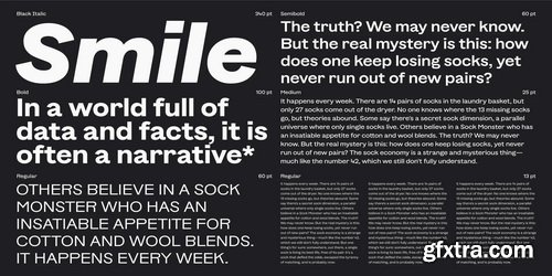 Myfonts - Banter Grotesk Font Family