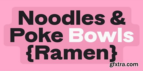 Myfonts - Banter Grotesk Font Family