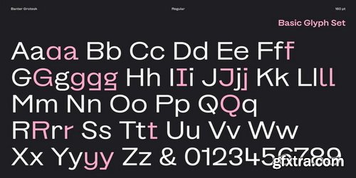 Myfonts - Banter Grotesk Font Family