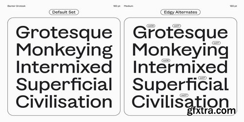 Myfonts - Banter Grotesk Font Family