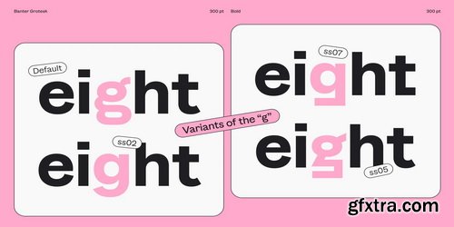 Myfonts - Banter Grotesk Font Family