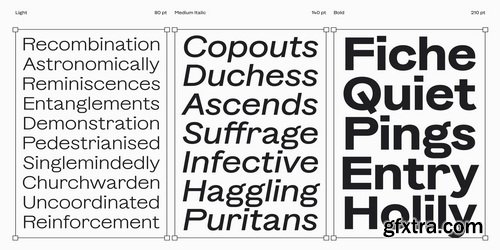 Myfonts - Banter Grotesk Font Family