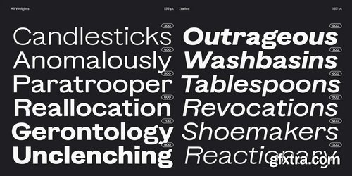 Myfonts - Banter Grotesk Font Family