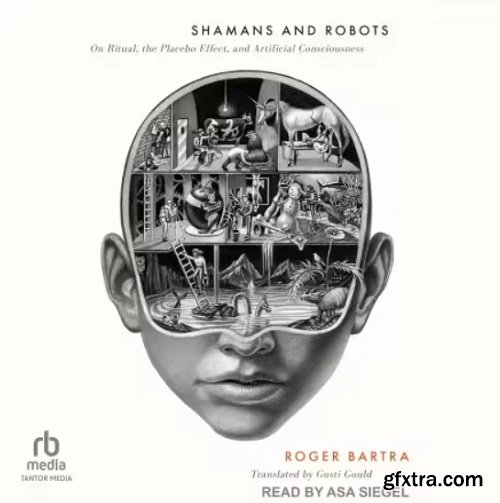 Shamans and Robots: On Ritual, the Placebo Effect, and Artificial Consciousness
