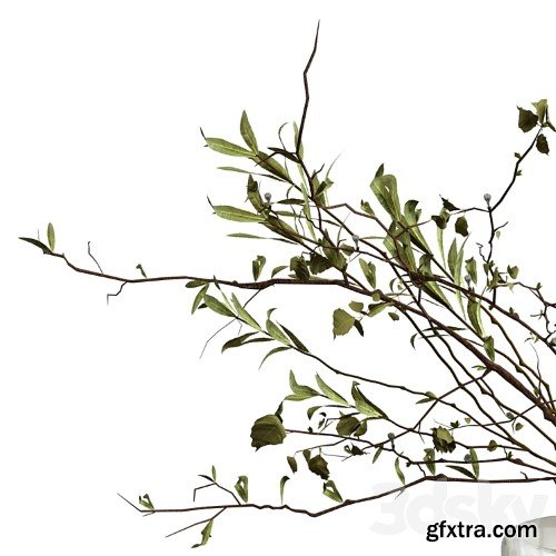 3dsky Pro - Bouquet of olive branches and wood