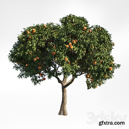3dsky Pro - peach tree 8