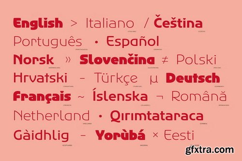 CreativeMarket - Agera Gothic Display Font