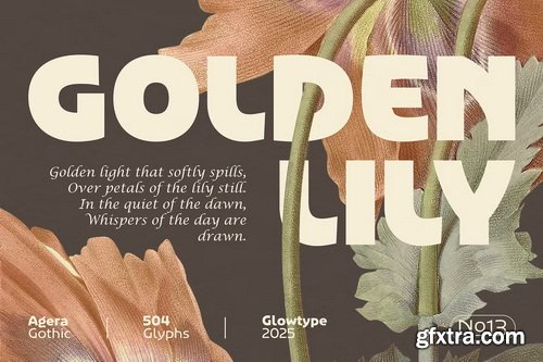 CreativeMarket - Agera Gothic Display Font