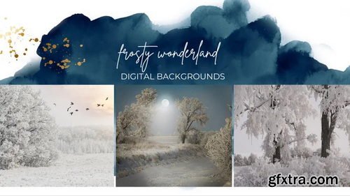 Finding North Education - Frosty Wonderland Backgrounds by Vettleson Photography