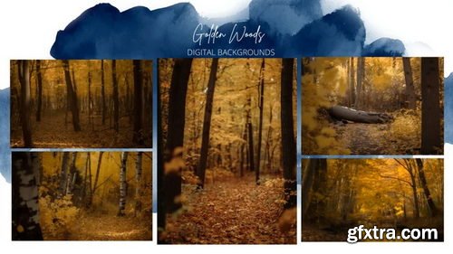 Finding North Education - Golden Woods Digital Backgrounds