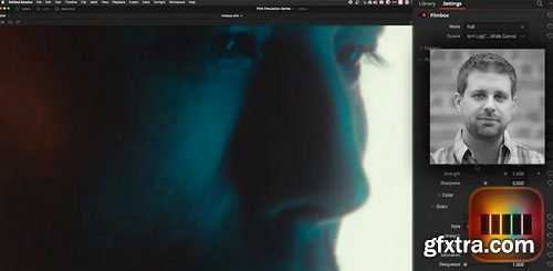 Mixinglight - Film Print Emulation: A Deep Dive Into The Filmbox OFX Plugin (for DaVinci Resolve)