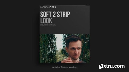 Mononodes - Soft 2 Strip Look for DaVinci Resolve