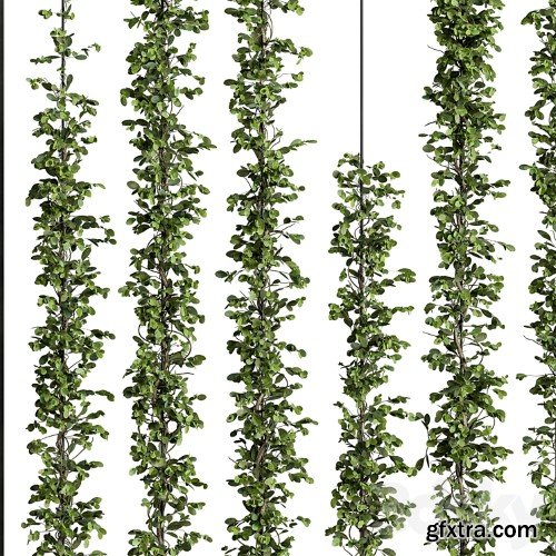 3dsky Pro - Green Wall - Plants partition 06