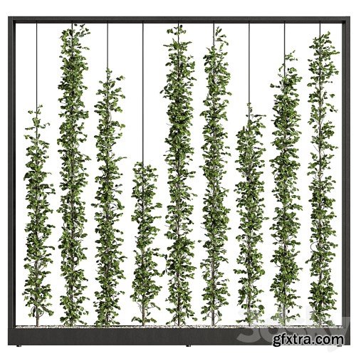 3dsky Pro - Green Wall - Plants partition 06