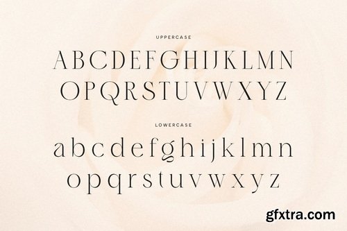 Myfonts - Parode Font