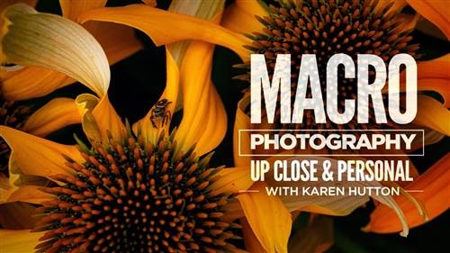 'KelbyOne - Macro Photography: Up Close and Personal'