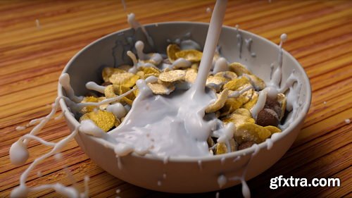 The Gnomon Workshop - Liquid Simulation in Houdini