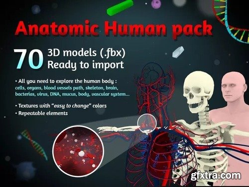 Anatomic Pack v1.04
