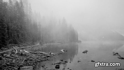 CreativeLive - Using Your Style To Diversify Your Photography