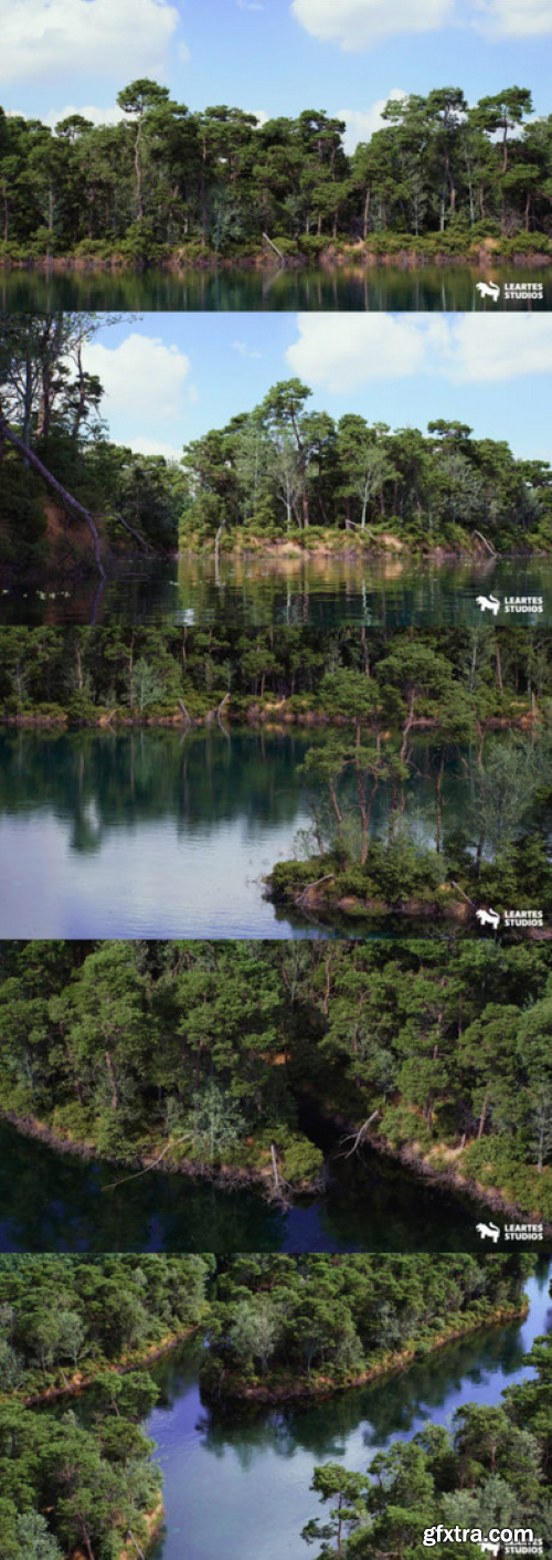 Fab - The Pine Environment Fab - The Pine Environment