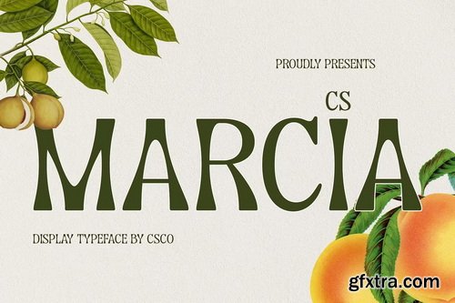 CreativeMarket - CS Marcia &ndash; Aesthetic Font