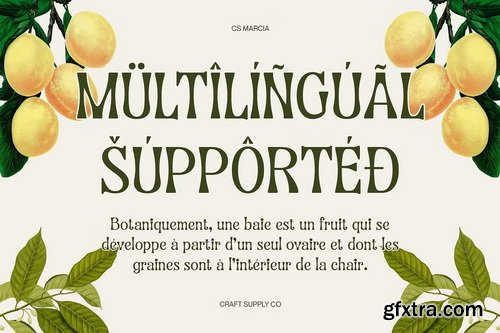 CreativeMarket - CS Marcia &ndash; Aesthetic Font