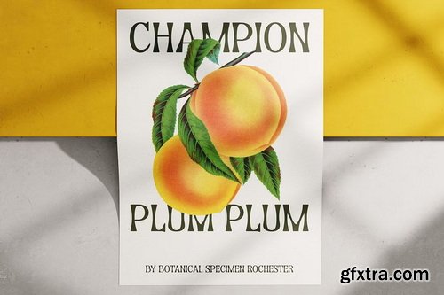 CreativeMarket - CS Marcia &ndash; Aesthetic Font