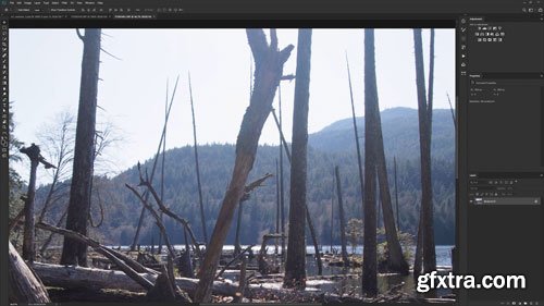 Mattepaint - Edges, Halo And Lightwrap