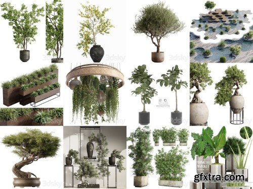 3dsky Pro - Plants vol.1 3d Models