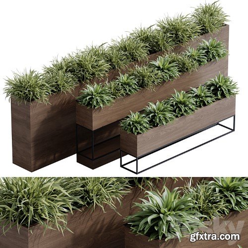 3dsky Pro - Plants vol.1 3d Models