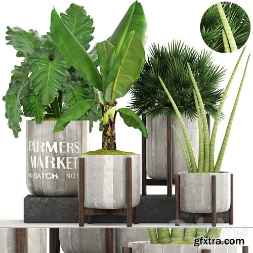 3dsky Pro - Plants vol.1 3d Models