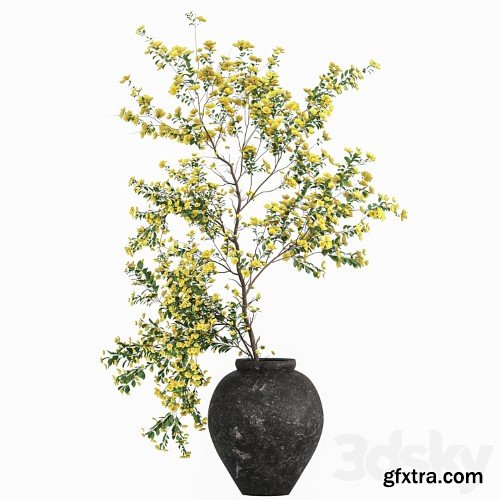 3dsky Pro - Plants vol.1 3d Models