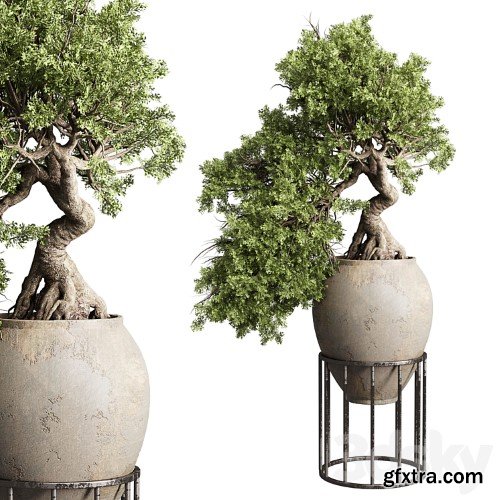 3dsky Pro - Plants vol.1 3d Models