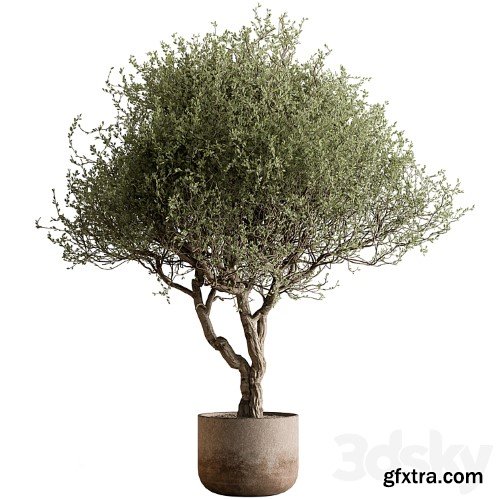 3dsky Pro - Plants vol.1 3d Models