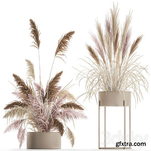 3dsky Pro - Flower in Vase vol. 1 3d Models