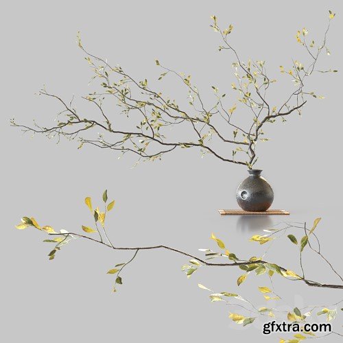 3dsky Pro - Flower in Vase vol. 1 3d Models