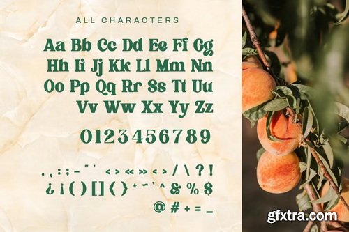 CreativeMarket - Flagfies - Modern Retro Font