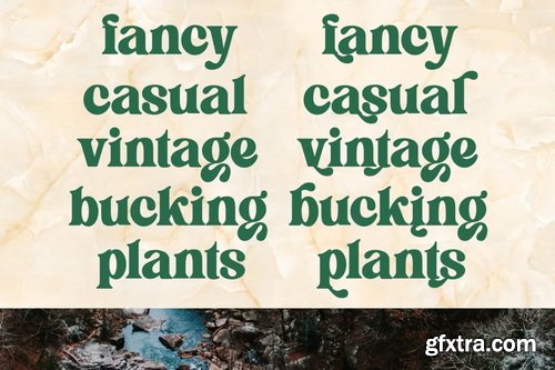 CreativeMarket - Flagfies - Modern Retro Font