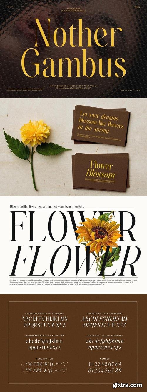 Nother Gambus Family Serif Font Text