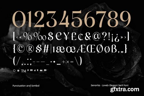 Senorita - Lovely Elegant Serif Font
