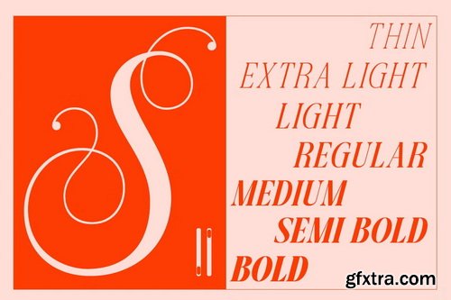 CreativeMarket - Dh Pegita - 7 Beauty Floral Typeface